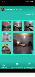 GariШода的相册照片