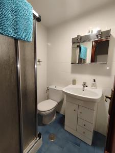 Un baño con inodoro, lavabo y ducha. en Casa Aurora, en Zamora