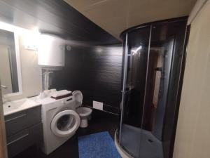a bathroom with a shower and a toilet and a sink at Butas in Šilutė
