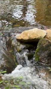 Fotografie z fotogalerie ubytování Finca Casa Mercedes rivera v destinaci Rivera