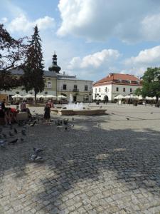 um grupo de pássaros ao redor de uma fonte numa praça em Apartament Violet em Krosno