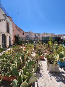 a garden with cacti and plants in a courtyard at Appartamento Ortigia Vicolo Lettighieri 22 in Siracusa