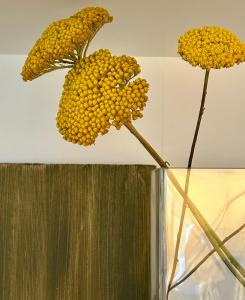 Billede fra billedgalleriet på NordiCasa i Eger