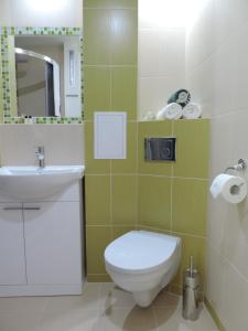 a bathroom with a white toilet and a sink at Apartament Green in Krosno