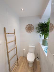 a bathroom with a toilet and a plant on a shelf at La Maison Des Caps AU BLANCNEZ in Marquise