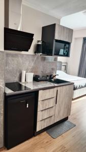 a kitchen with a sink and a bed in a room at ALVINA Complex Tsaghkadzor in Tsaghkadzor +2 photos