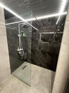 a bathroom with a shower with a glass door at ALVINA Complex Tsaghkadzor in Tsaghkadzor