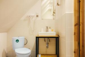 a bathroom with a toilet and a sink at Winnica Agat in Świerzawa +56 photos