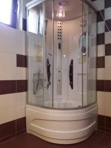 a shower with a glass door in a bathroom at Perfect Stay in Sibiu