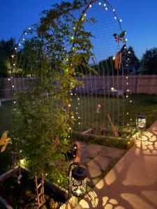 a garden with a tree and a fence with lights at Relaxing Retreat with Cozy Patio in Sioux Falls