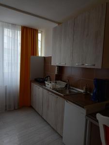 a kitchen with a sink and a refrigerator at Two Bedroom Apartment Farmec in Cluj-Napoca