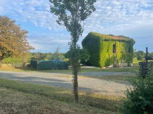 a building covered in ivy next to a road at Cascina Valgrande, Monferrato in Carpeneto