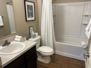 a bathroom with a sink and a toilet and a shower at The Hilliard Executive No Steps Amazing Beds! in Dublin
