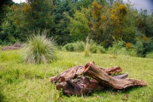 Gallery image of Casa de Tierra Loft Tlalli in Mexico City