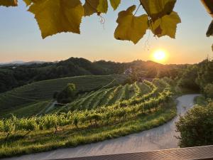 un viñedo con la puesta de sol en el fondo en Haloze Chill, en Podlehnik