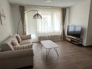 Μια τηλεόραση ή/και κέντρο ψυχαγωγίας στο Charmante Wohnung nähe Flughafen