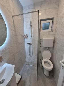 Un baño con ducha, inodoro y lavabo. en Oaza studio 1, en Soko Banja