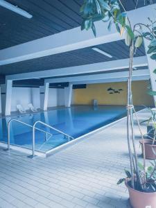 a swimming pool in a building with a blue floor at Bayerwald Refugium in Sankt Englmar