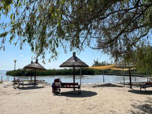 Naturlandskabet i nærheden af lejligheden + 18 billeder