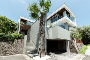 una palma di fronte a una casa di Château Marine a Kamakura