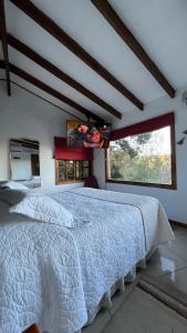 a bedroom with a large bed and a window at Cabañas Vistas al Rio in Villarrica