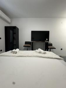 スティヴァンにあるBorak Apartmaniのベッドルーム(白いベッド1台、テレビ付)