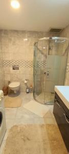 a bathroom with a shower with a toilet and a sink at Arcadia homes avsallar in Alanya