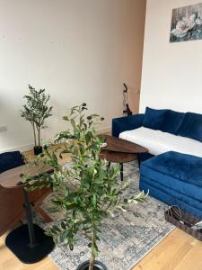 a living room with a blue couch and a table at Jewel of Chelmsford in Moffat