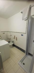 a bathroom with a shower and a toilet and a sink at La Casetta in Marina di Massa