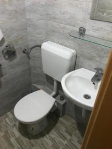 a bathroom with a white toilet and a sink at Vila Damir in Gornja Šišava