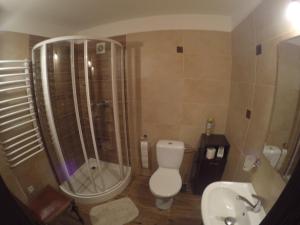 a bathroom with a shower and a toilet and a sink at Trzy Strumyki in Kąty Bystrzyckie