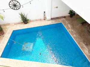 Πισίνα στο ή κοντά στο Suite Moni tranquila y elegante +12 φωτογραφίες