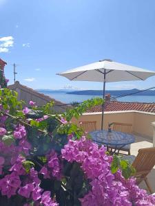 Příroda nedaleko prázdninového domu