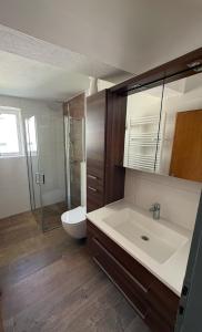 a bathroom with a sink and a toilet at Ferienhaus Rafaela mit Privatstrand in Ledenitzen