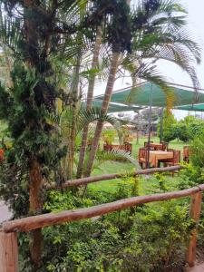 een tuin met een hek en een palmboom bij URMA 2 in Barranca +2 foto's