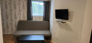 TV o dispositivi per l'intrattenimento presso Cedar Drive Inn