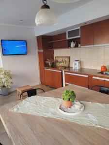 Η κουζίνα ή μικρή κουζίνα στο Amani Tandil - Alojamiento con patio y pileta en el centro de la ciudad +5 φωτογραφίες