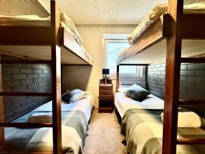 een slaapkamer met twee stapelbedden en een raam bij Enzian 3 AMS Mt Buller in Mount Buller +4 foto's