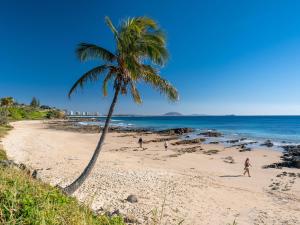 a palm tree on a beach with people walking on it at Beachside Views 2 Bedroom Apartments Mooloolaba in Mooloolaba