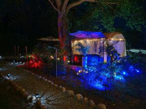 Gallery image of Novaglamp Susurro natural in Agua de Dios