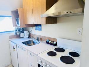a small kitchen with a stove and a sink at Merivale Court Studio in Christchurch