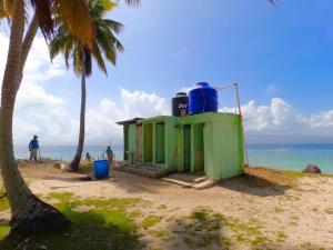 a small shack on a beach with palm trees at CABAÑA ISLA IGUANA San-Blas in Warsobtugua