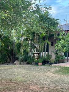 a house with trees in front of a yard at AJ Pizza and Steakhouse in Ban Khai Nun