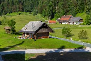 an aerial view of a house on a green hill at Brunarica Bled Zatrnik Pokljuka in Bled