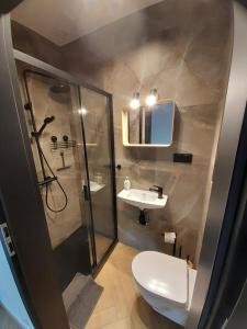 a bathroom with a shower and a toilet and a sink at Apartamenty Babie Lato in Białogóra +18 photos