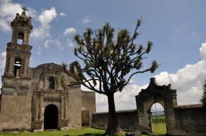 Hacienda Santa Barbara Casa Malinche في هوامانتلا: كنيسة قديمة وامامها شجرة