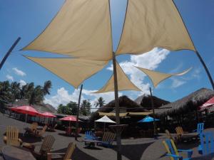 Fotografie z fotogalerie ubytování Hotel El Delfin v destinaci Monterrico