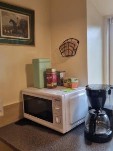 a microwave sitting on a counter next to a blender at Rytterstuen - velindrettet, praktisk og perfekt til håndværkere in Helsinge