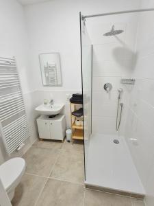 a bathroom with a shower and a toilet and a sink at Studio 2 - Apartments am Schloss in Oberschleißheim +5 photos