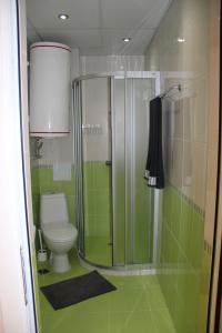 Vonios kambarys apgyvendinimo įstaigoje Karchevi Apartment